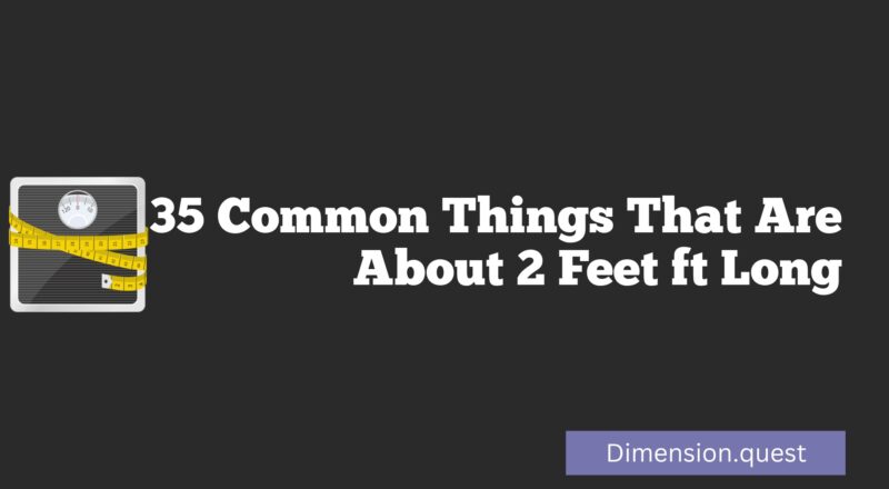 35 Common Things That Are About 2 Feet ft Long