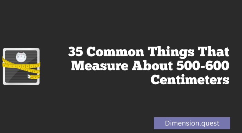 35 Common Things That Measure About 500-600 Centimeters