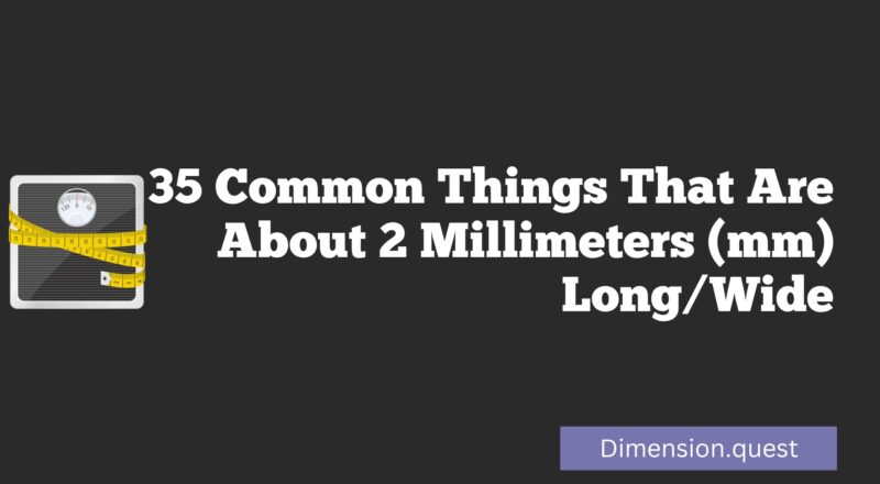 35 Common Things That Are About 2 Millimeters (mm) Long/Wide